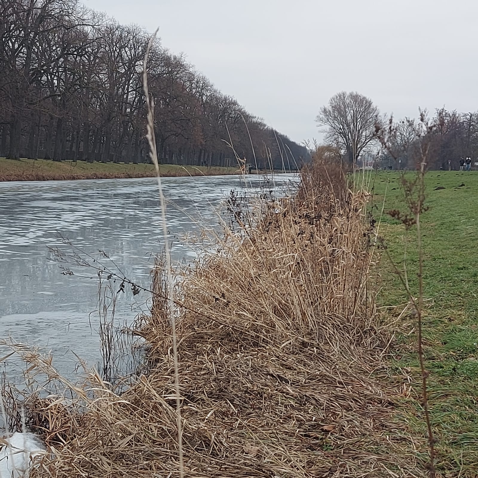 IMG 20260118 WA0004 Gracht